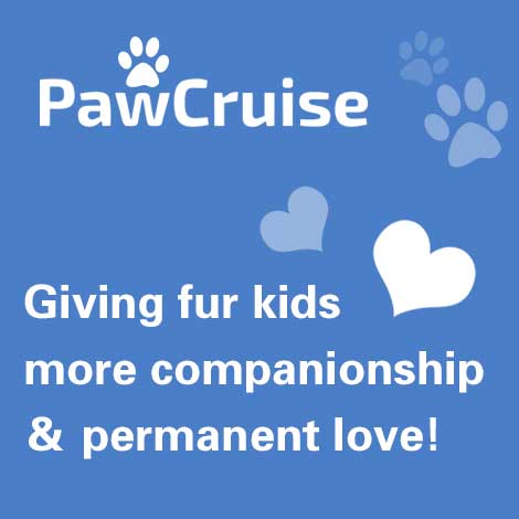 pawcruise